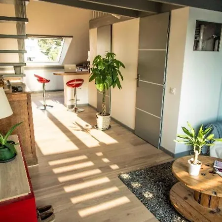 Apartamento Duplex 35mcarre, Zola, Dans Maison En Bois Nantes