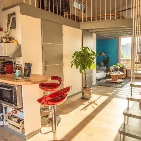 Apartamento Duplex 35mcarre, Zola, Dans Maison En Bois